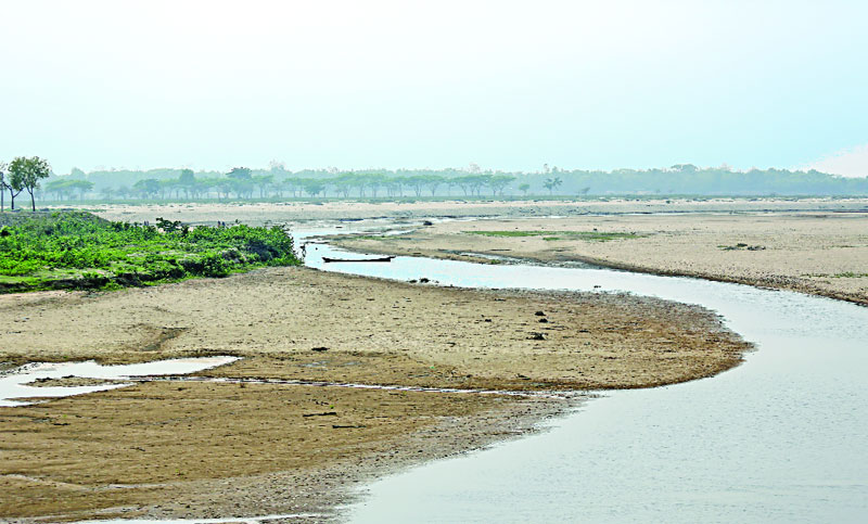 মরছে পদ্মা মেঘনা